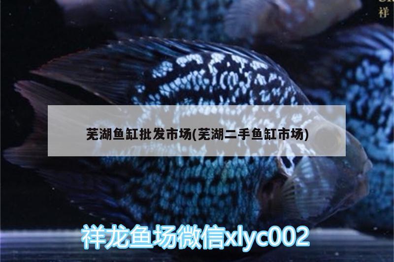 蕪湖魚缸批發(fā)市場(蕪湖二手魚缸市場)