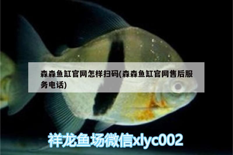 森森魚缸官網(wǎng)怎樣掃碼(森森魚缸官網(wǎng)售后服務(wù)電話)