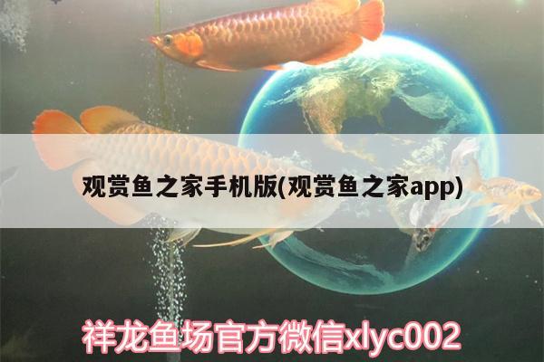 觀賞魚之家手機版(觀賞魚之家app)