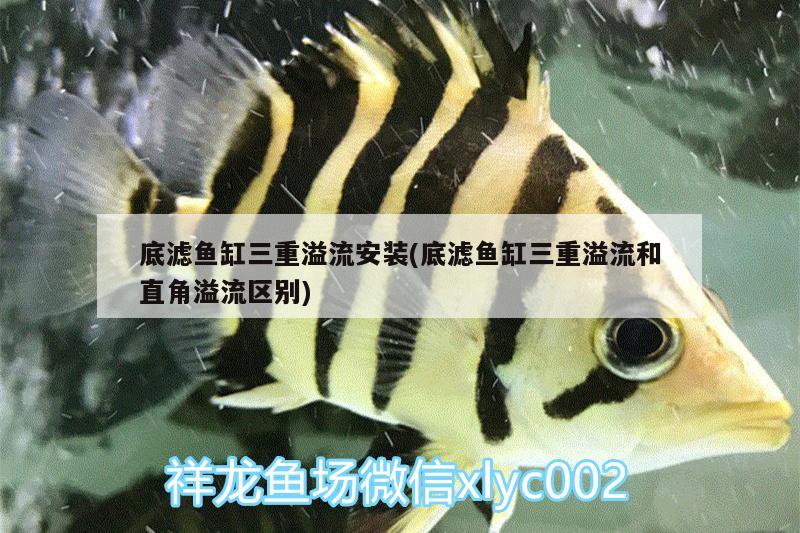 底濾魚缸三重溢流安裝(底濾魚缸三重溢流和直角溢流區(qū)別)