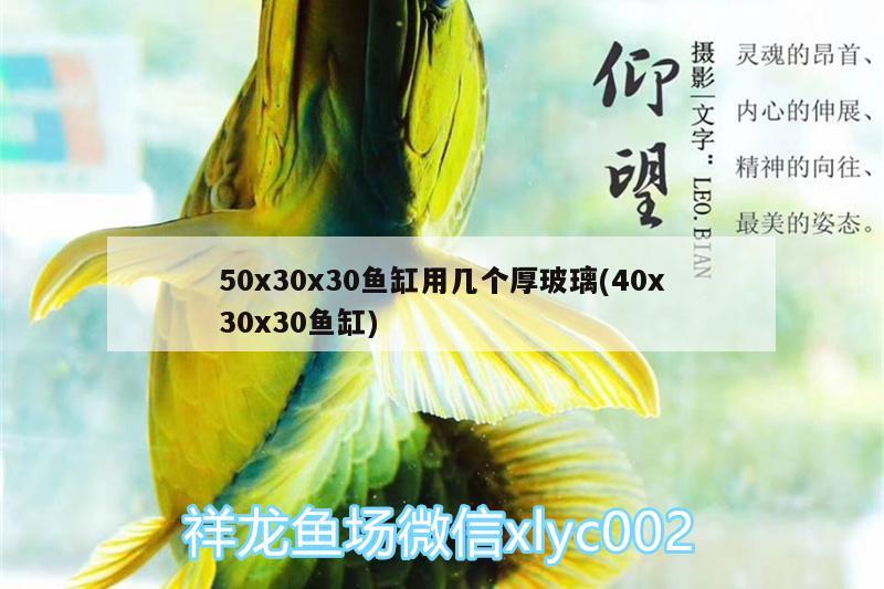 50x30x30魚缸用幾個(gè)厚玻璃(40x30x30魚缸) 白子紅龍魚