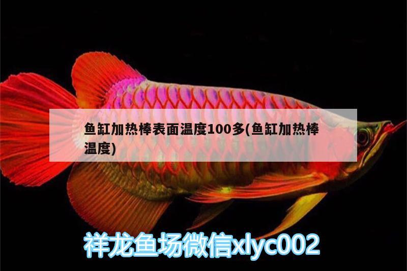 魚缸加熱棒表面溫度100多(魚缸加熱棒溫度) 龍鳳鯉魚