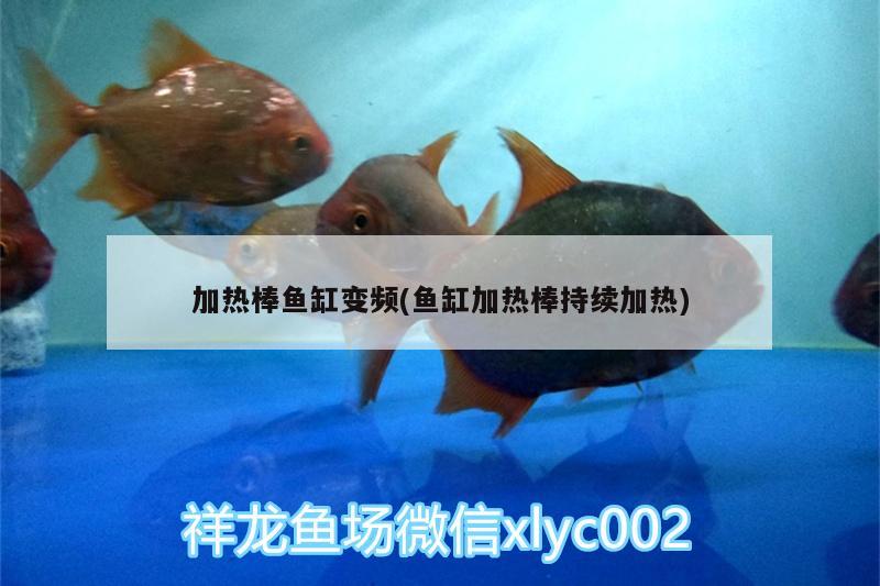 加熱棒魚缸變頻(魚缸加熱棒持續(xù)加熱)