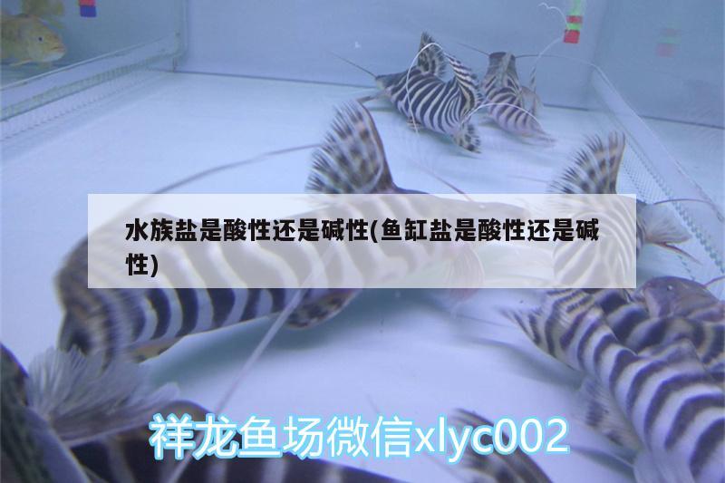 水族鹽是酸性還是堿性(魚缸鹽是酸性還是堿性) 定時器/自控系統(tǒng)