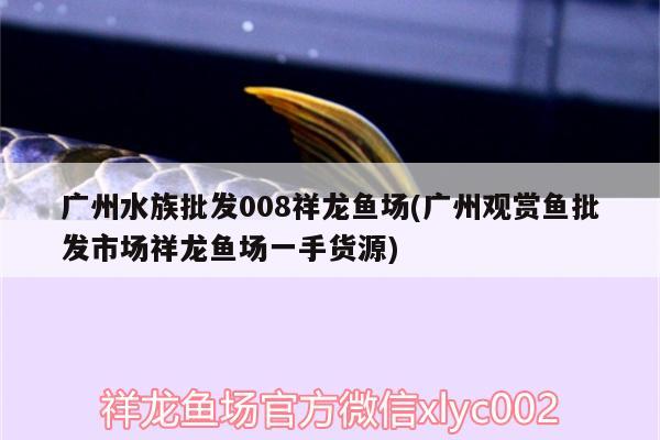 廣州水族批發(fā)008祥龍魚場(廣州觀賞魚批發(fā)市場祥龍魚場一手貨源) 觀賞魚批發(fā) 第2張