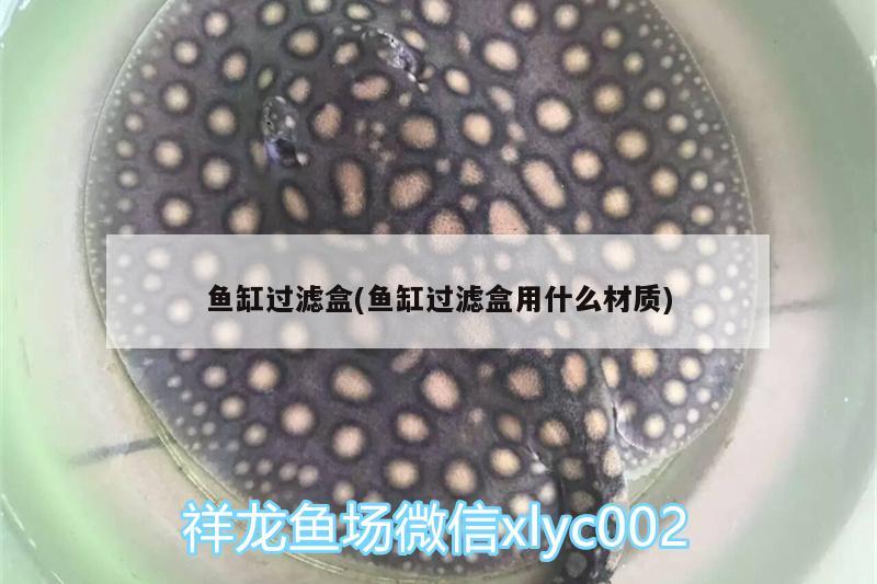 魚缸過濾盒(魚缸過濾盒用什么材質(zhì)) 南美異型魚