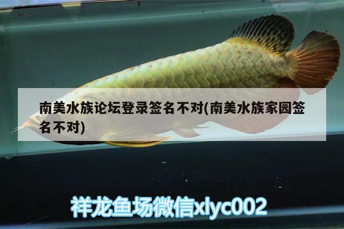 南美水族論壇登錄簽名不對(南美水族家園簽名不對) 祥龍龍魚專用水族燈