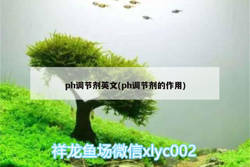 ph調(diào)節(jié)劑英文(ph調(diào)節(jié)劑的作用) 純血皇冠黑白魟魚