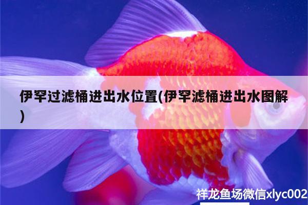 伊罕過濾桶進出水位置(伊罕濾桶進出水圖解)