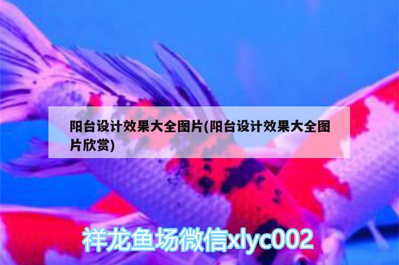 陽臺設計效果大全圖片(陽臺設計效果大全圖片欣賞) 大嘴鯨魚