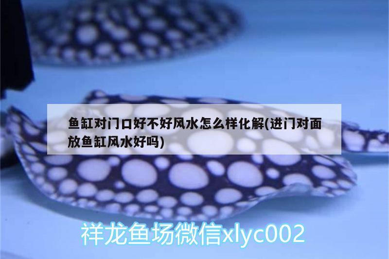 魚缸對門口好不好風水怎么樣化解(進門對面放魚缸風水好嗎)