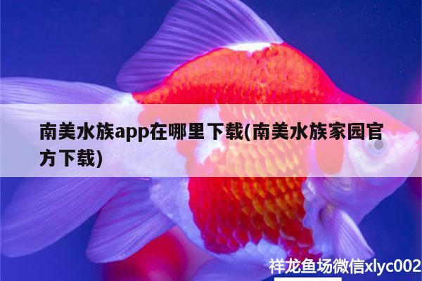 南美水族app在哪里下載(南美水族家園官方下載)