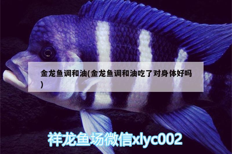 金龍魚調(diào)和油(金龍魚調(diào)和油吃了對身體好嗎)