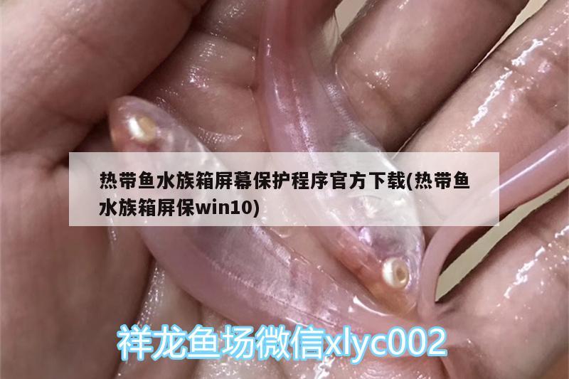 熱帶魚水族箱屏幕保護(hù)程序官方下載(熱帶魚水族箱屏保win10) 魚缸/水族箱