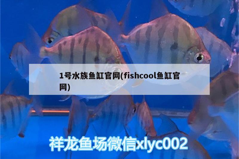 1號水族魚缸官網(wǎng)(fishcool魚缸官網(wǎng))