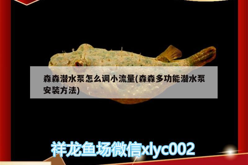 森森潛水泵怎么調(diào)小流量(森森多功能潛水泵安裝方法)