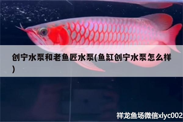 創(chuàng)寧水泵和老魚(yú)匠水泵(魚(yú)缸創(chuàng)寧水泵怎么樣) 創(chuàng)寧水族