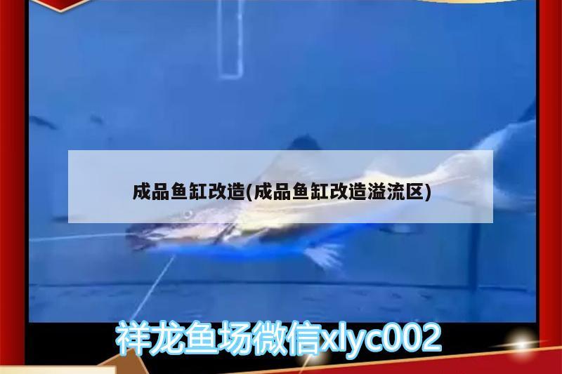 成品魚缸改造(成品魚缸改造溢流區(qū))