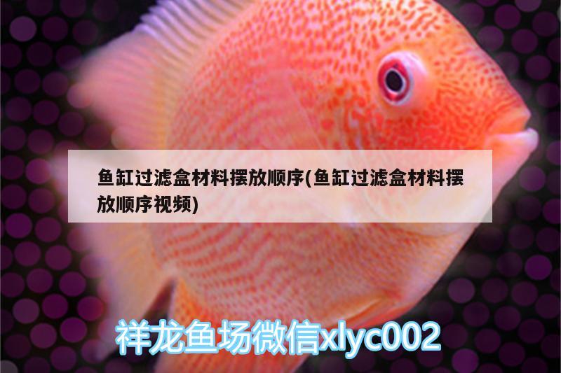 魚缸過濾盒材料擺放順序(魚缸過濾盒材料擺放順序視頻) 照明器材