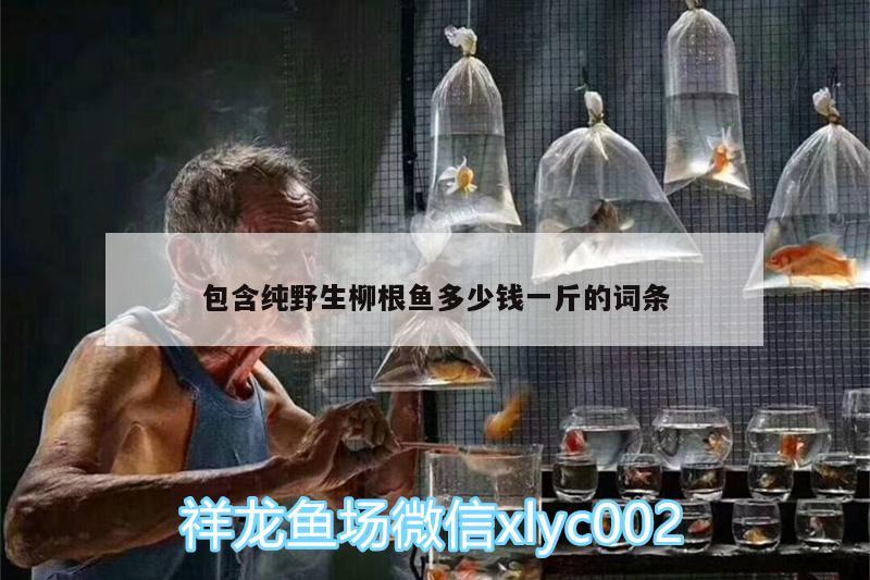 包含純野生柳根魚多少錢一斤的詞條 泰國虎魚