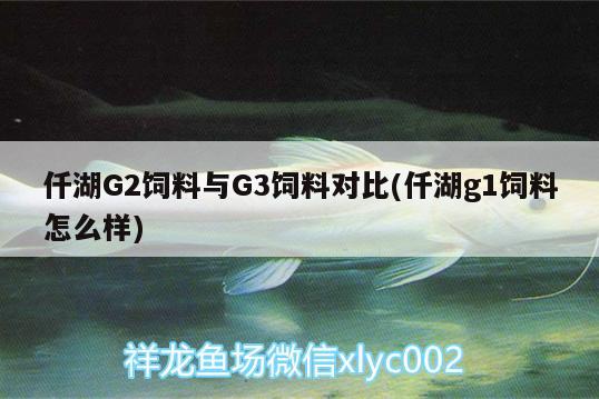 仟湖G2飼料與G3飼料對(duì)比(仟湖g1飼料怎么樣)