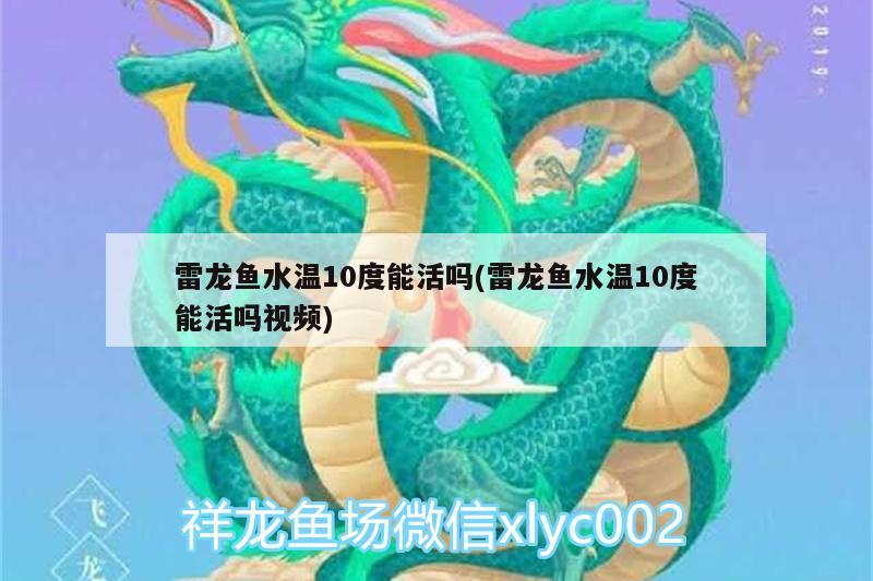 雷龍魚水溫10度能活嗎(雷龍魚水溫10度能活嗎視頻)