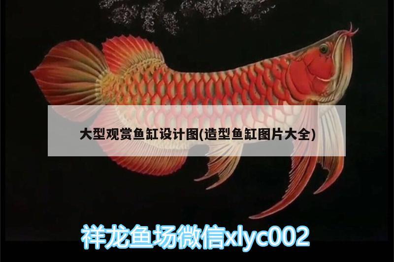 大型觀賞魚缸設(shè)計圖(造型魚缸圖片大全)