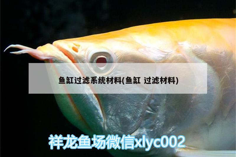 魚(yú)缸過(guò)濾系統(tǒng)材料(魚(yú)缸過(guò)濾材料)