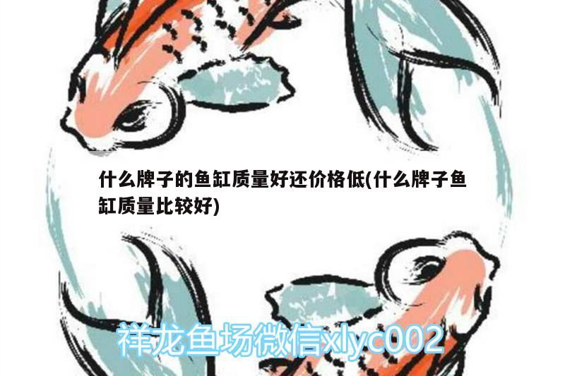 什么牌子的魚缸質量好還價格低(什么牌子魚缸質量比較好) 魚缸風水