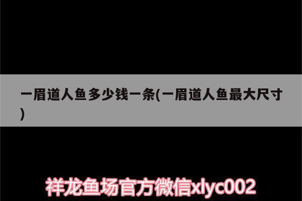 一眉道人魚多少錢一條(一眉道人魚最大尺寸) 一眉道人魚