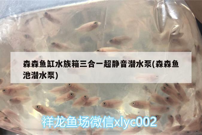 森森魚(yú)缸水族箱三合一超靜音潛水泵(森森魚(yú)池潛水泵) 魚(yú)缸/水族箱