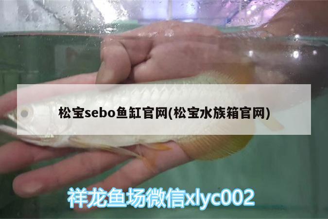 松寶sebo魚缸官網(wǎng)(松寶水族箱官網(wǎng)) 魚缸/水族箱