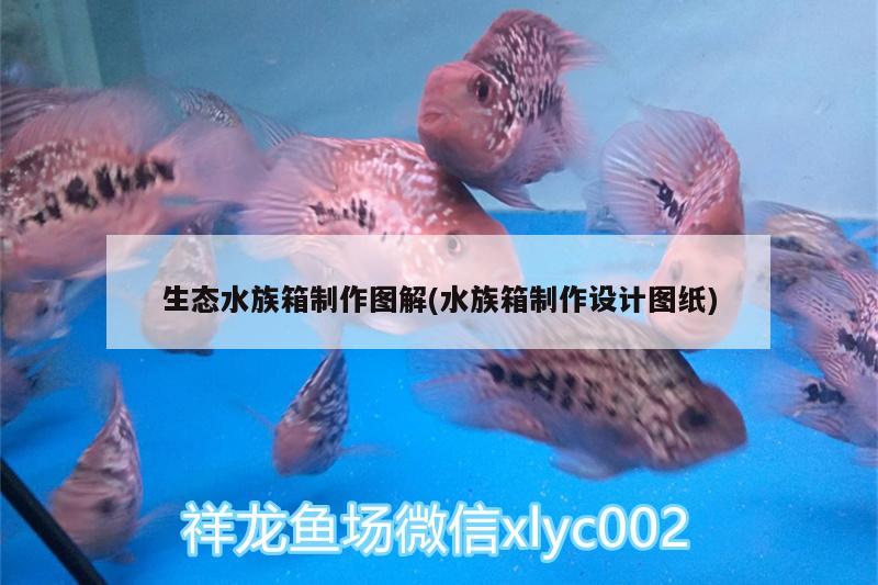 生態(tài)水族箱制作圖解(水族箱制作設(shè)計(jì)圖紙) 魚缸/水族箱