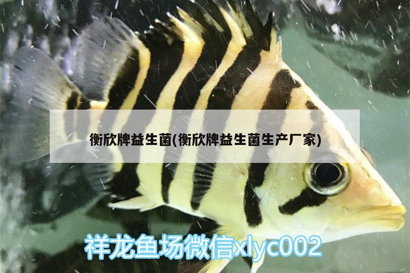 衡欣牌益生菌(衡欣牌益生菌生產(chǎn)廠家) 龍魚批發(fā)