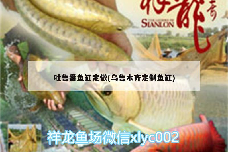 吐魯番魚缸定做(烏魯木齊定制魚缸)