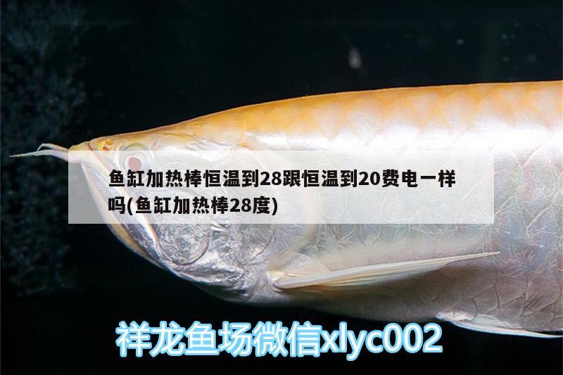 魚缸加熱棒恒溫到28跟恒溫到20費(fèi)電一樣嗎(魚缸加熱棒28度)