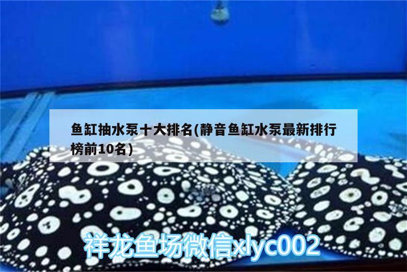 魚缸抽水泵十大排名(靜音魚缸水泵最新排行榜前10名)