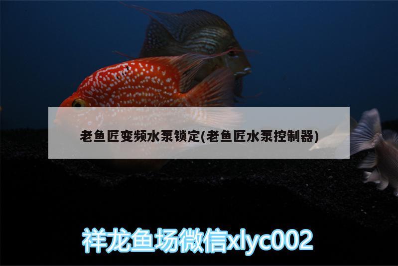 老魚匠變頻水泵鎖定(老魚匠水泵控制器) 老魚匠