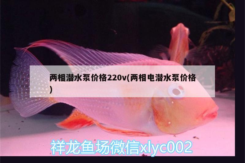 兩相潛水泵價(jià)格220v(兩相電潛水泵價(jià)格) 巴西亞魚(yú)苗