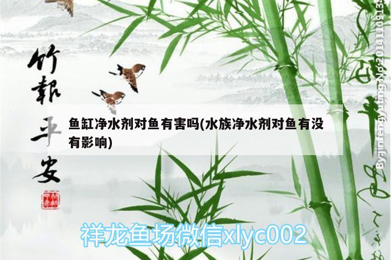 魚缸凈水劑對魚有害嗎(水族凈水劑對魚有沒有影響) 魚缸凈水劑