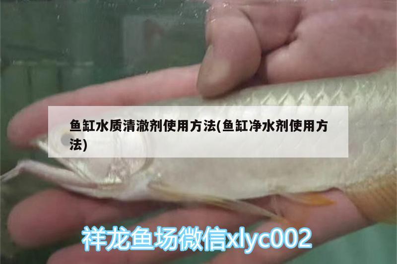 魚缸水質(zhì)清澈劑使用方法(魚缸凈水劑使用方法) 黑白雙星魚 第3張