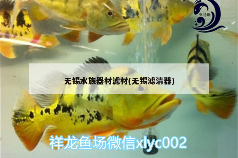 無錫水族器材濾材(無錫濾清器) 細線銀板魚苗