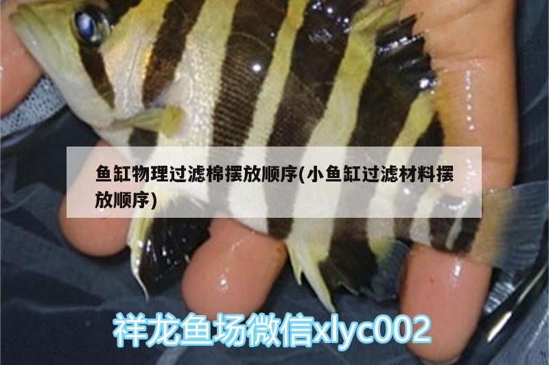 魚缸物理過濾棉擺放順序(小魚缸過濾材料擺放順序)