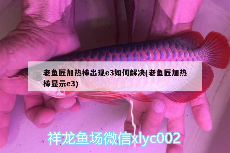 老魚匠加熱棒出現(xiàn)e3如何解決(老魚匠加熱棒顯示e3) 老魚匠