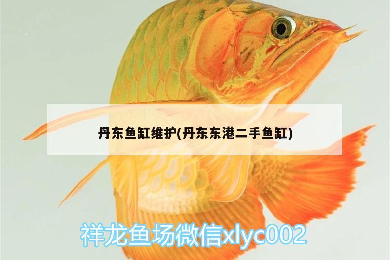 丹東魚(yú)缸維護(hù)(丹東東港二手魚(yú)缸)