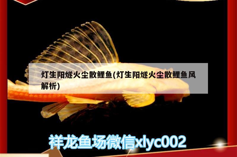 燈生陽(yáng)燧火塵散鯉魚(yú)(燈生陽(yáng)燧火塵散鯉魚(yú)風(fēng)解析)