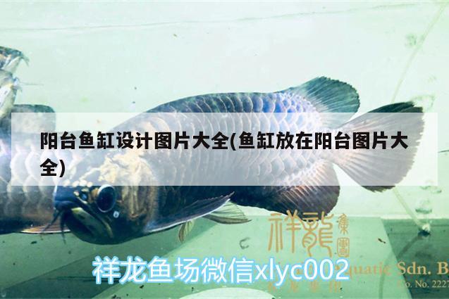 陽(yáng)臺(tái)魚(yú)缸設(shè)計(jì)圖片大全(魚(yú)缸放在陽(yáng)臺(tái)圖片大全) 祥龍魚(yú)場(chǎng)