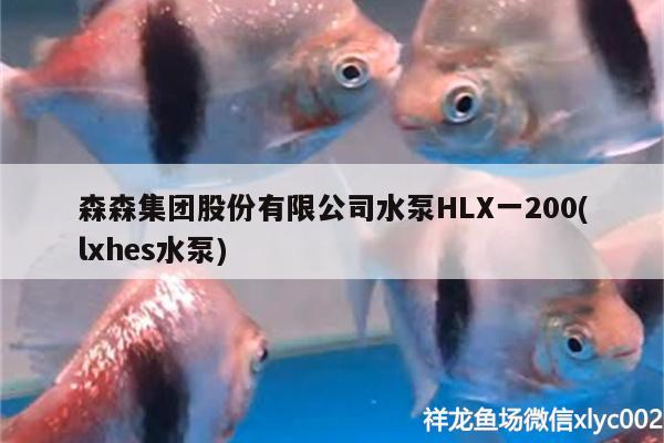 森森集團股份有限公司水泵HLX一200(lxhes水泵) 水族用品