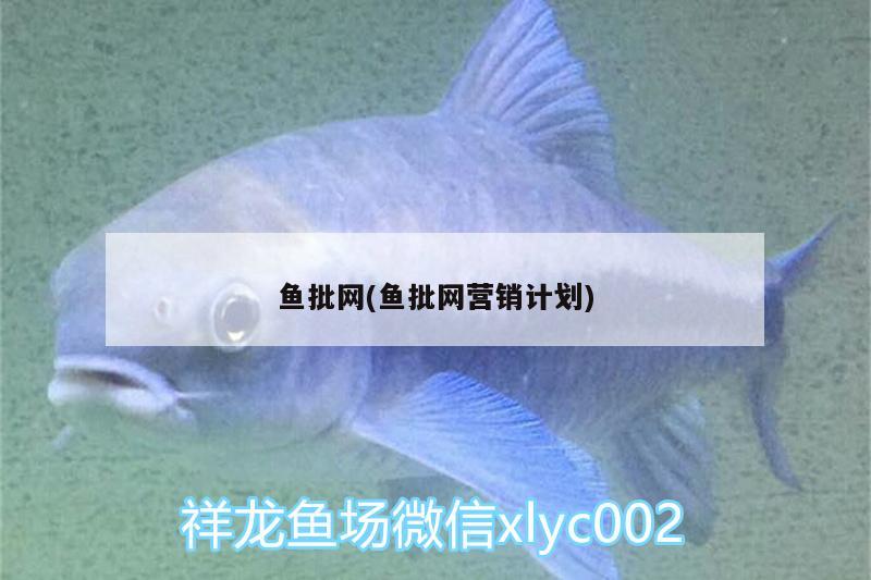 魚批網(wǎng)(魚批網(wǎng)營銷計劃)