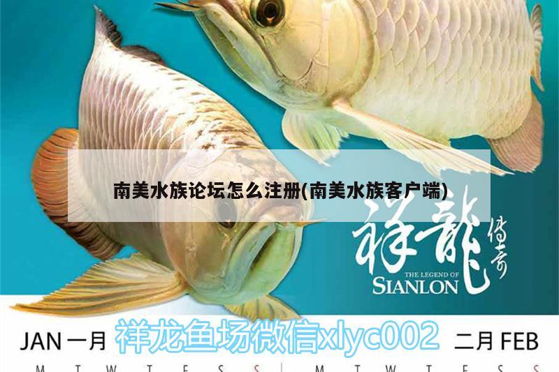 南美水族論壇怎么注冊(cè)(南美水族客戶端)